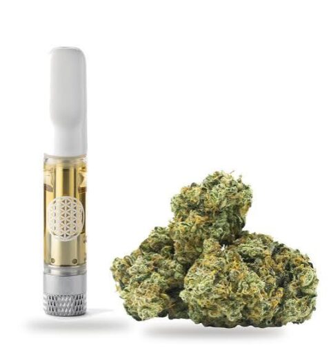 al money gelato weed